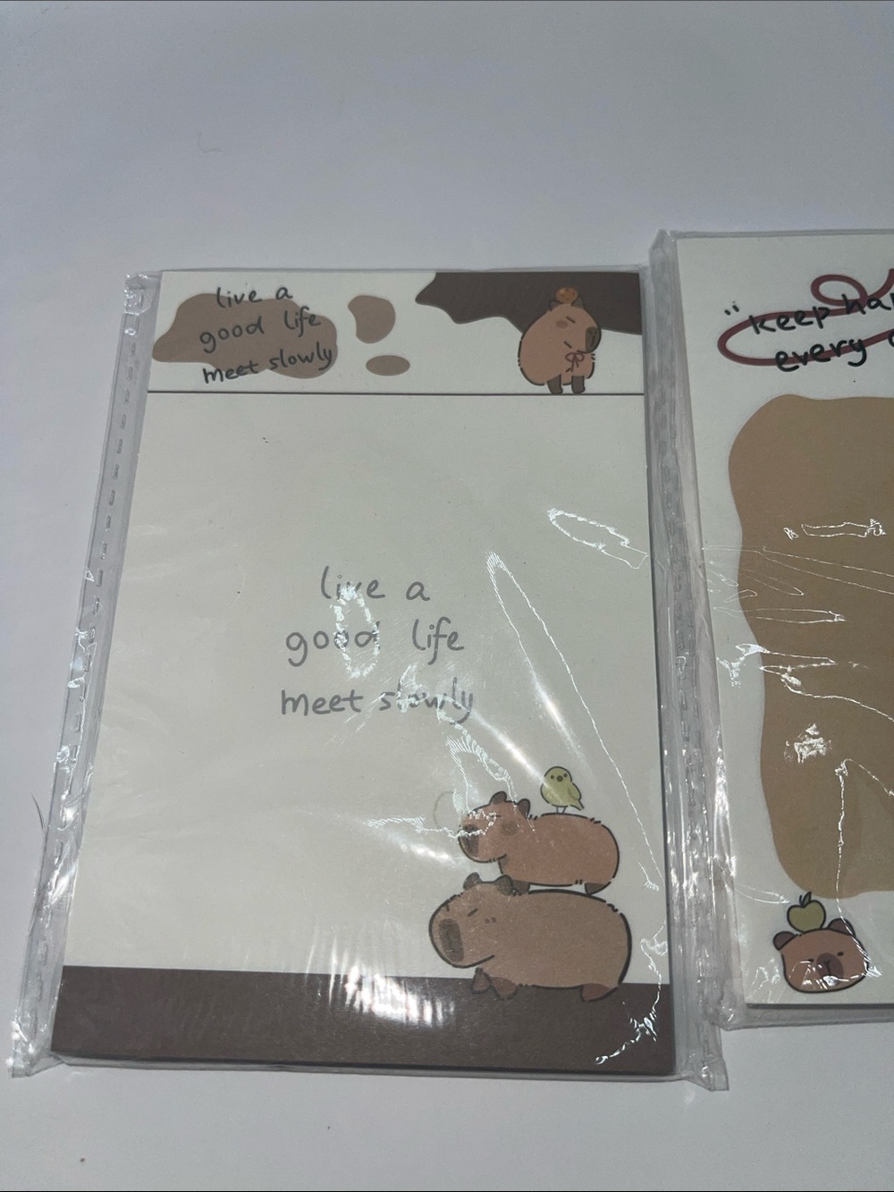 Capybara Sticky note set - Picture 2 of 4